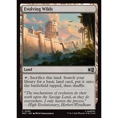 Evolving Wilds