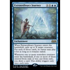 Extraordinary Journey