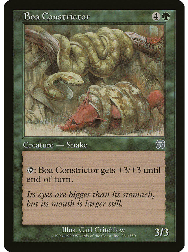 Boa Constrictor