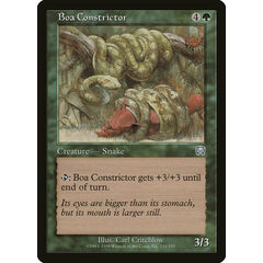 Boa Constrictor