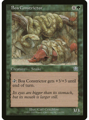 Boa Constrictor