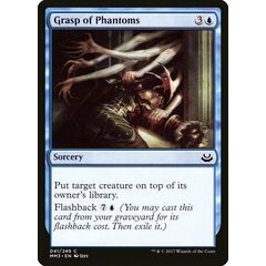 Grasp of Phantoms