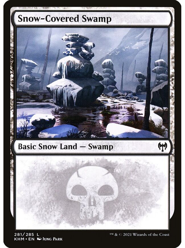 Snow-Covered Swamp