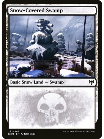 Snow-Covered Swamp