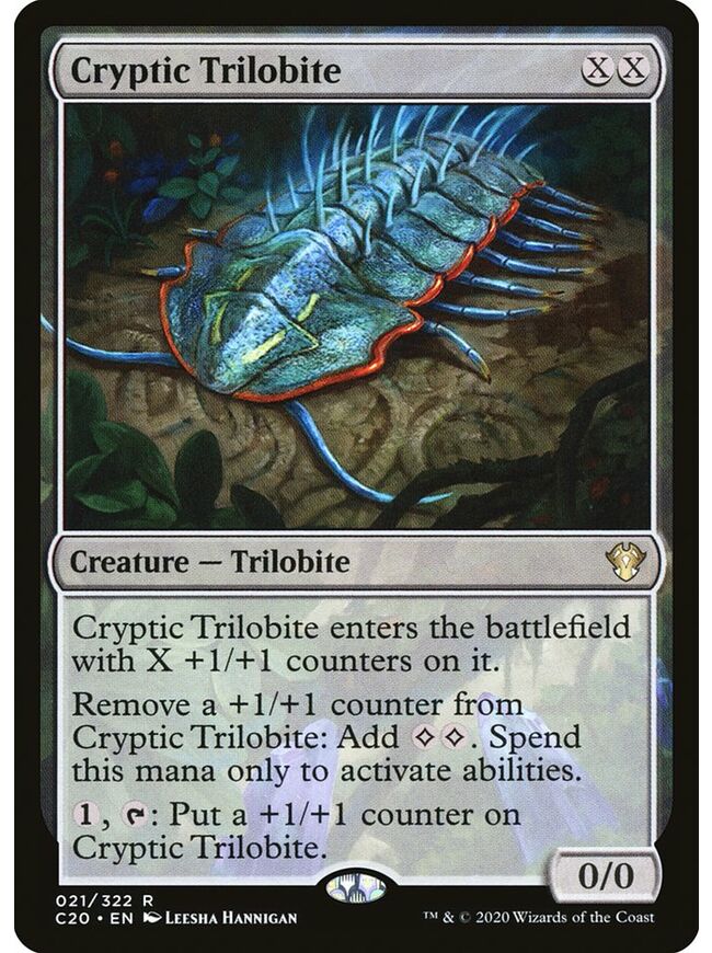 Cryptic Trilobite