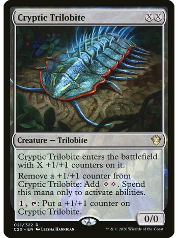 Cryptic Trilobite