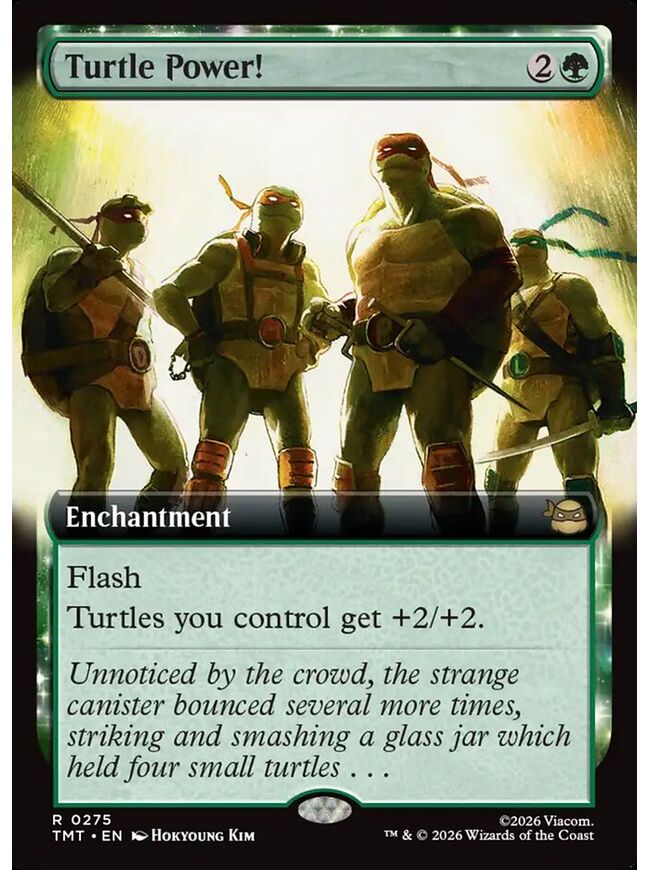 Turtle Power!