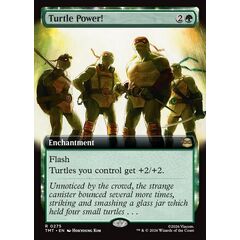 Turtle Power!