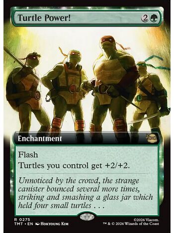 Turtle Power!