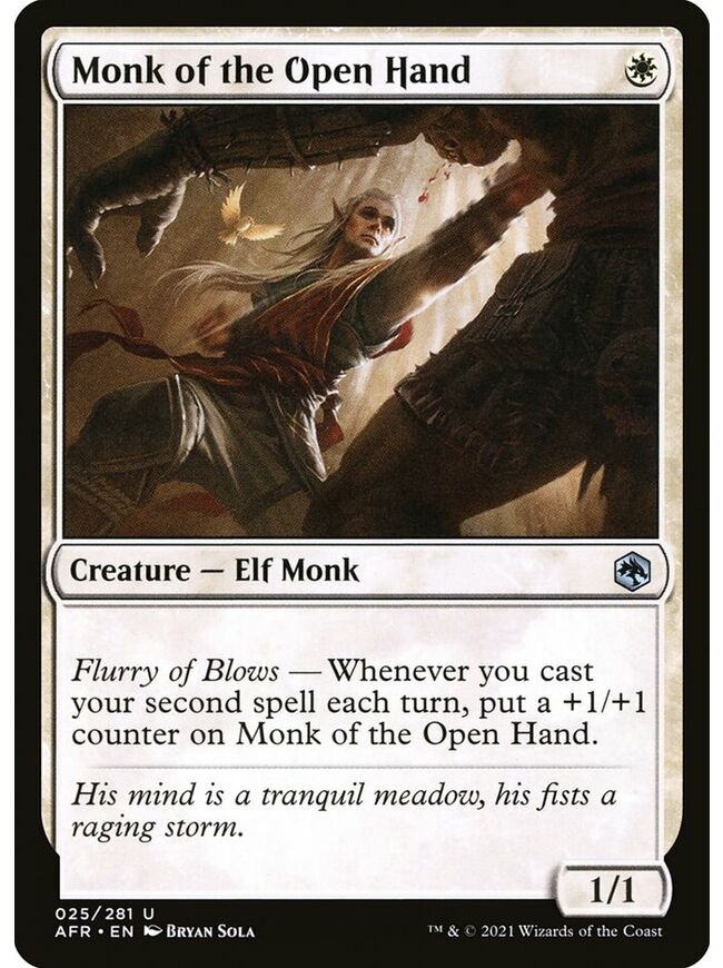 Monk of the Open Hand
