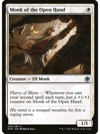 Monk of the Open Hand