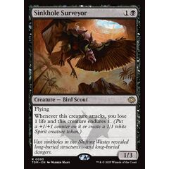Sinkhole Surveyor