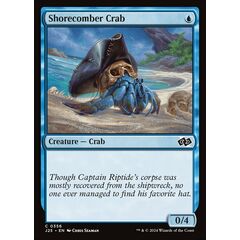 Shorecomber Crab