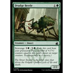 Drudge Beetle