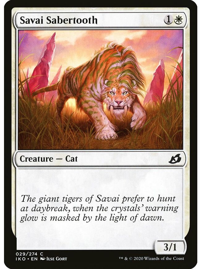Savai Sabertooth