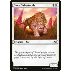 Savai Sabertooth