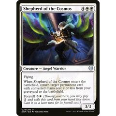 Shepherd of the Cosmos