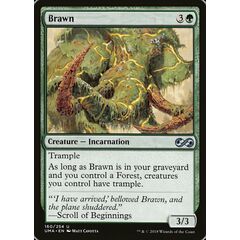 Brawn