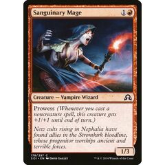 Sanguinary Mage