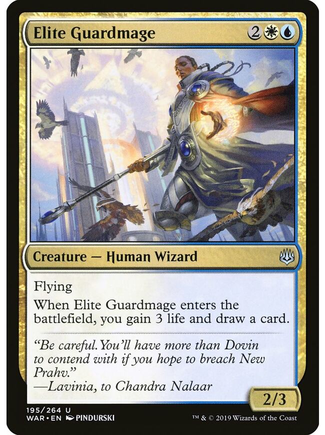 Elite Guardmage