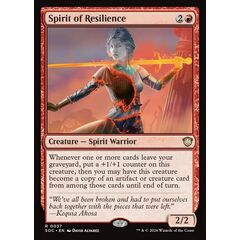 Spirit of Resilience