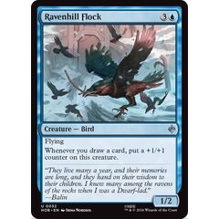 Ravenhill Flock