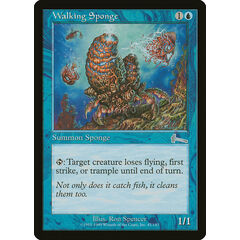 Walking Sponge