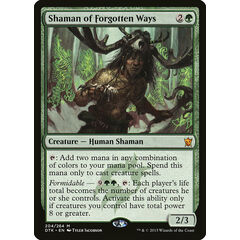 Shaman of Forgotten Ways