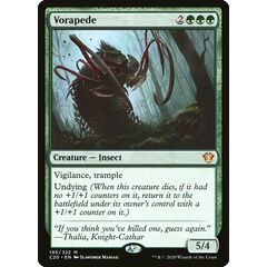 Vorapede