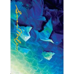 Expansion Algorithm // Expansion Algorithm (Art Series)