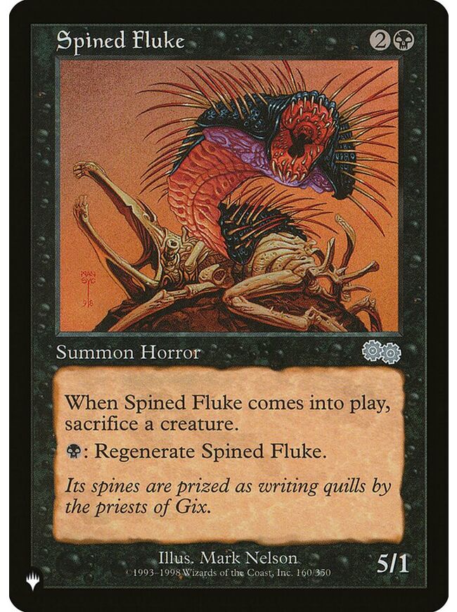 Spined Fluke