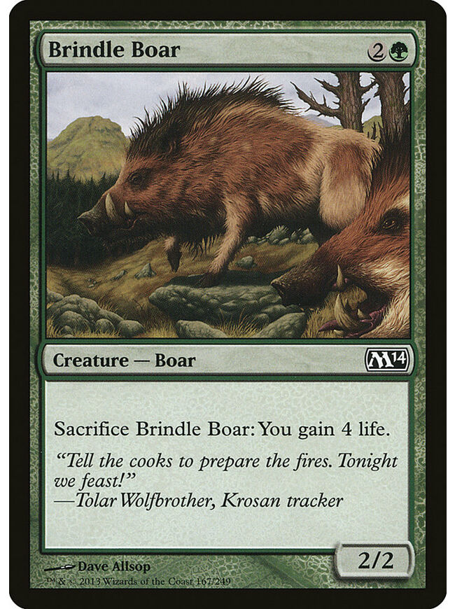 Brindle Boar