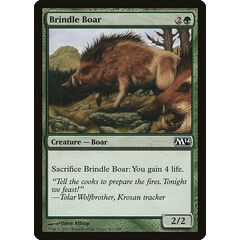 Brindle Boar
