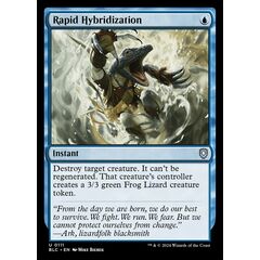 Rapid Hybridization
