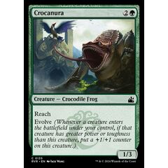 Crocanura