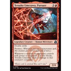 Tetsuko Umezawa, Pursuer