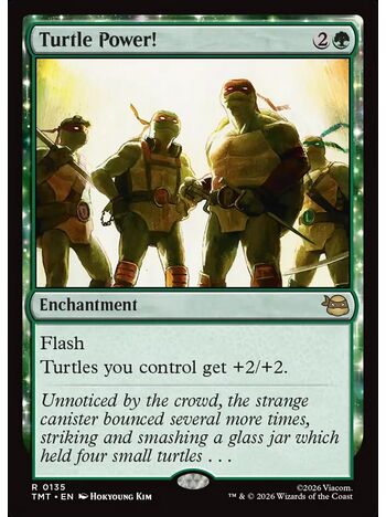 Turtle Power!
