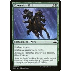 Equestrian Skill