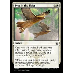 Eyes in the Skies