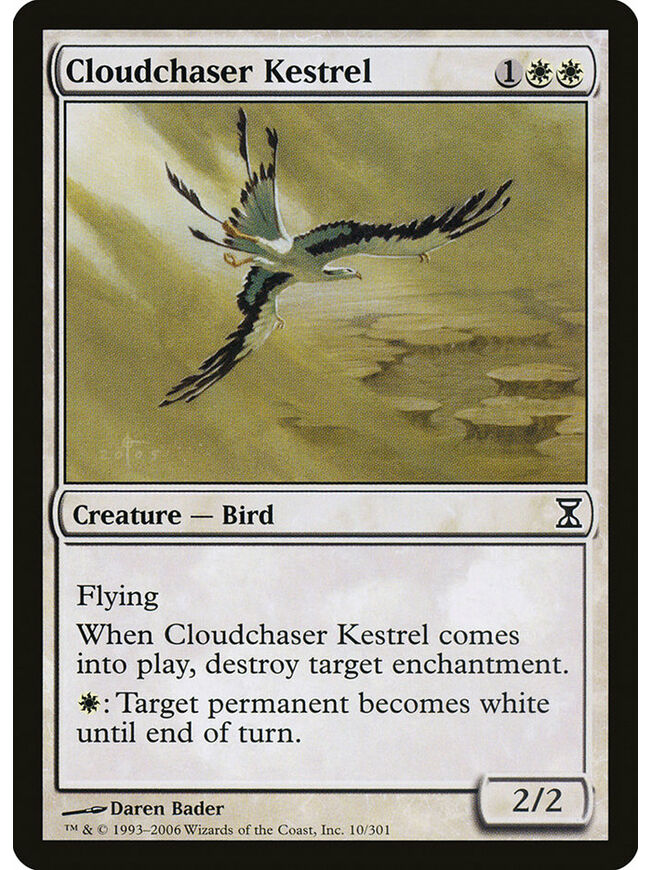 Cloudchaser Kestrel