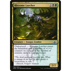 Rhizome Lurcher