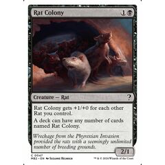 Rat Colony