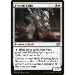 Fleeting Spirit