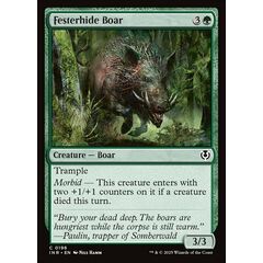 Festerhide Boar
