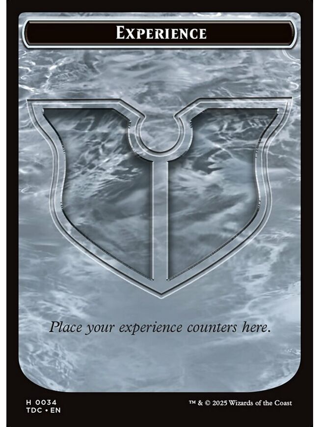 Experience Token