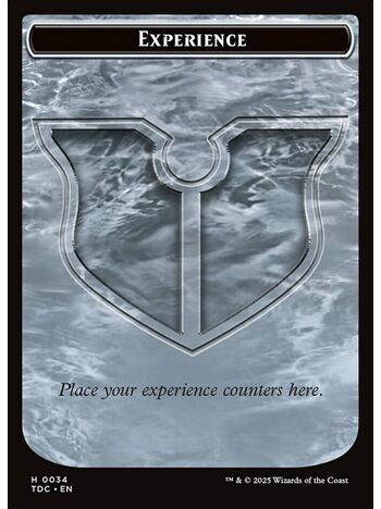 Experience Token