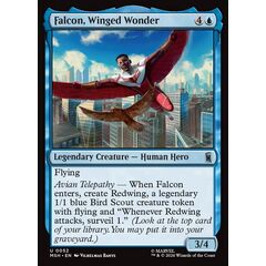 Falcon, Winged Wonder