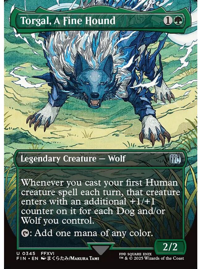 Torgal, A Fine Hound