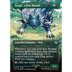 Torgal, A Fine Hound