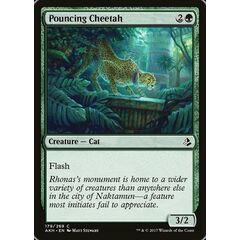 Pouncing Cheetah